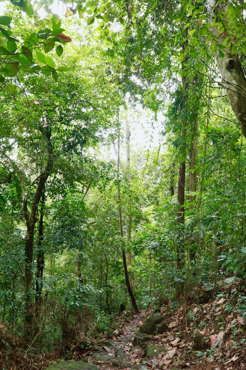 Paradise Eco Garden Китулгала Екстериор снимка