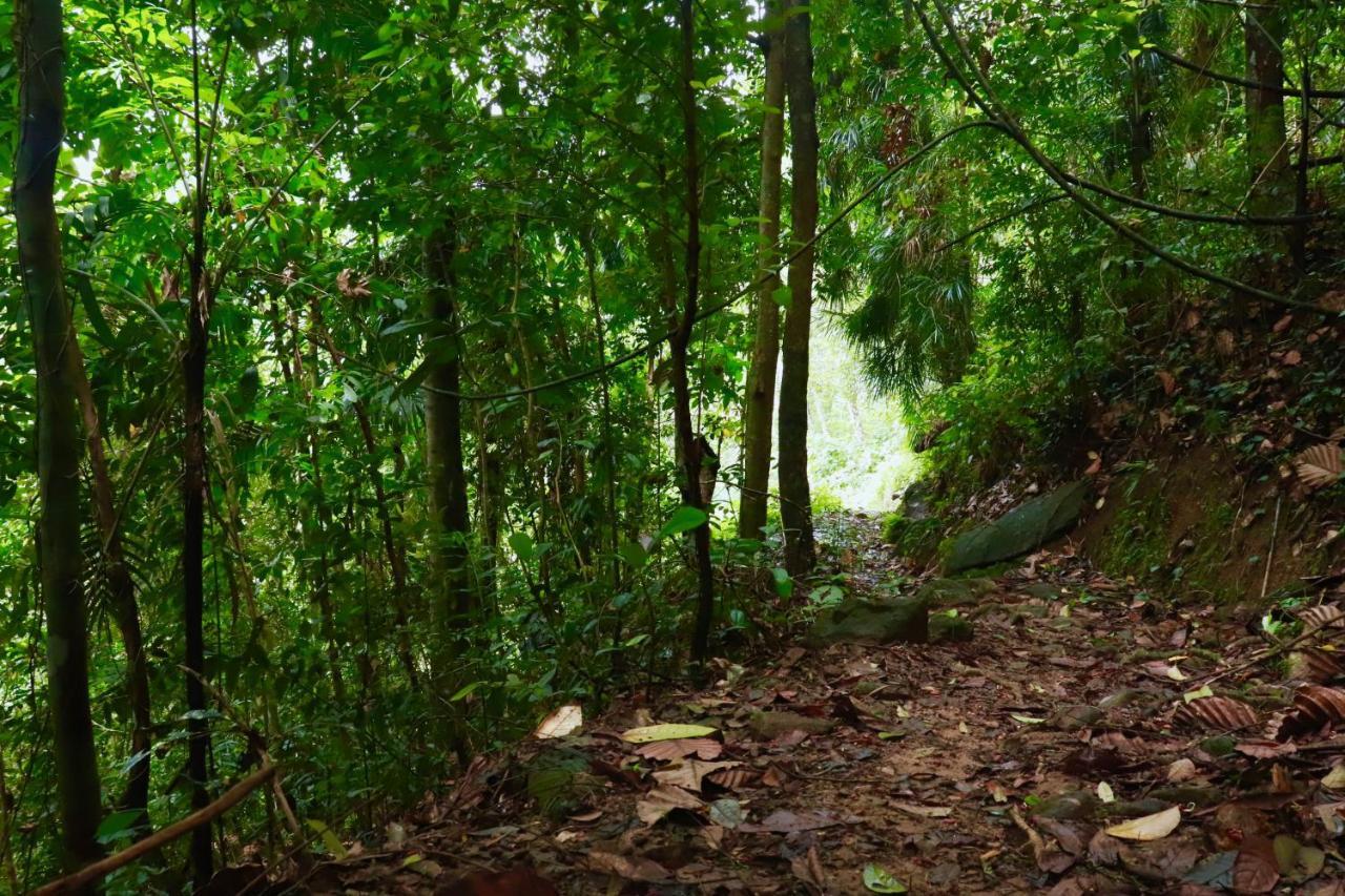 Paradise Eco Garden Китулгала Екстериор снимка