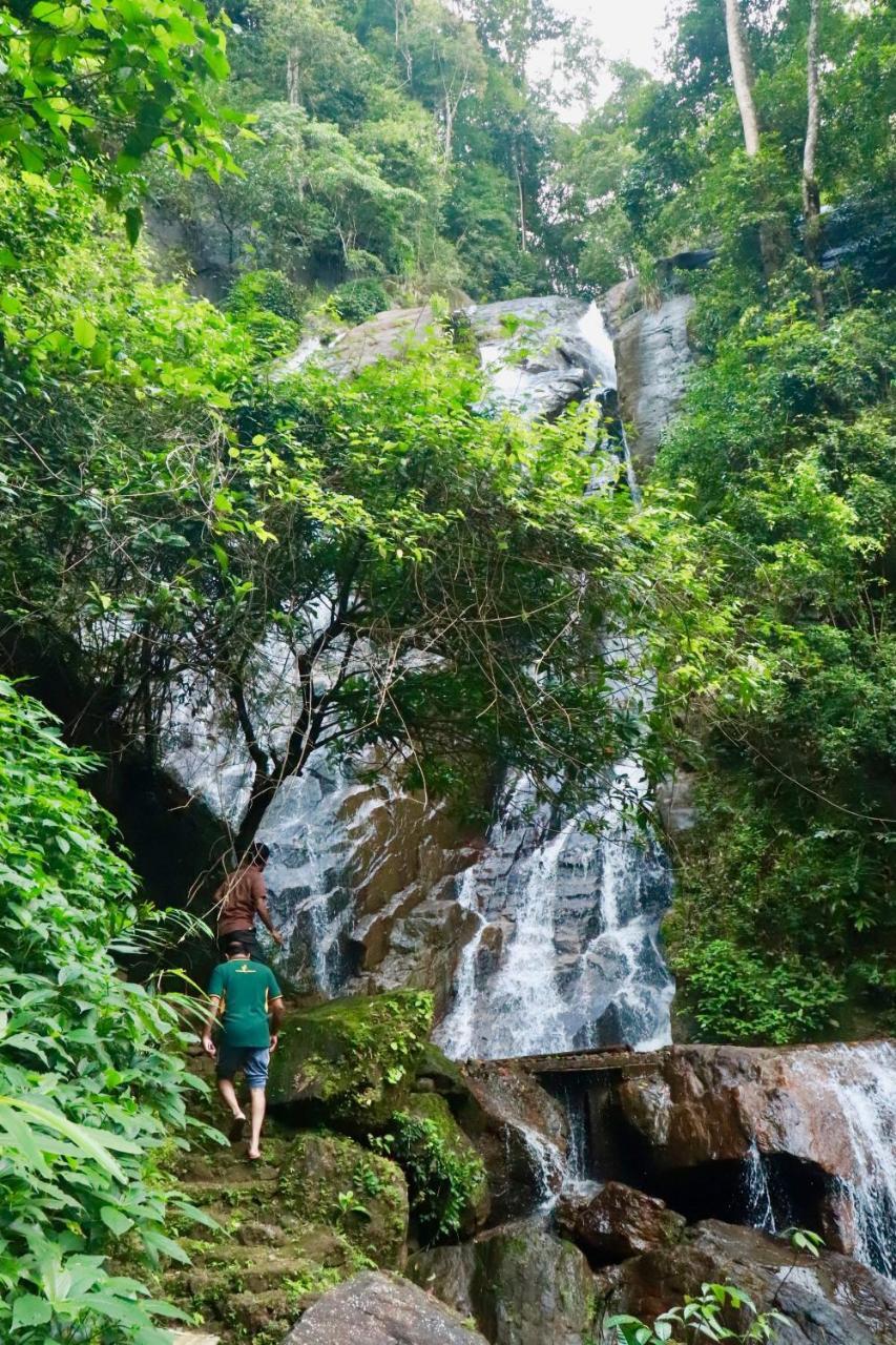 Paradise Eco Garden Китулгала Екстериор снимка