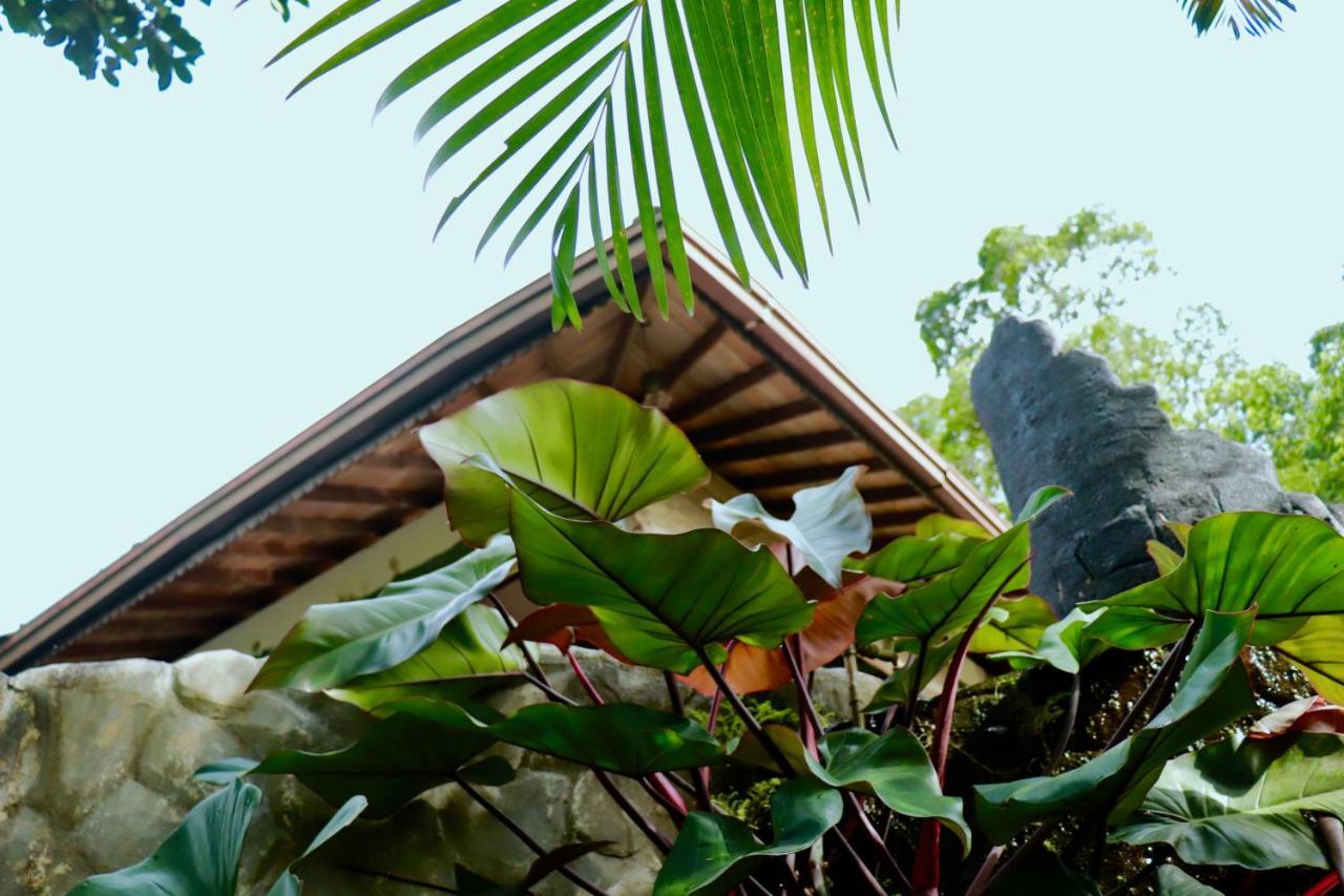 Paradise Eco Garden Китулгала Екстериор снимка