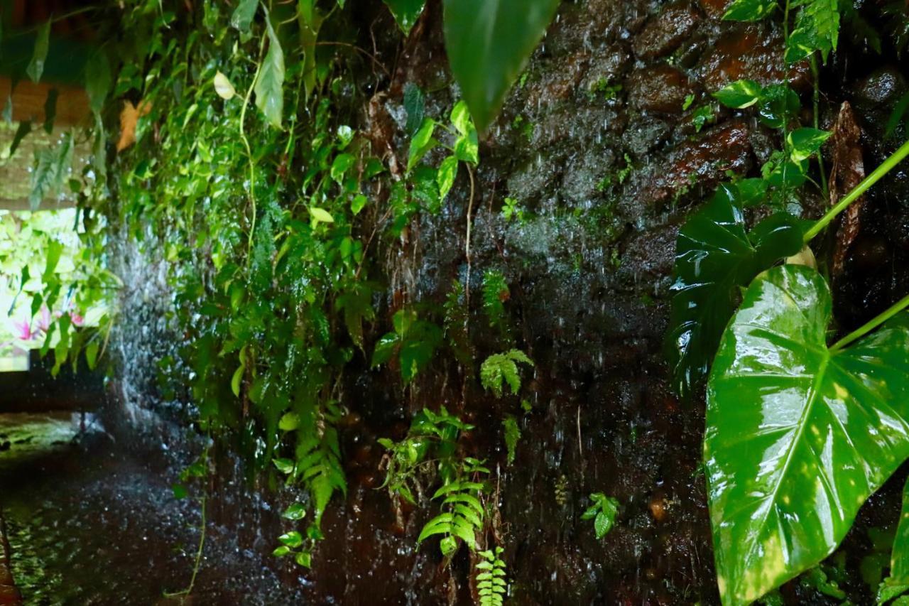 Paradise Eco Garden Китулгала Екстериор снимка