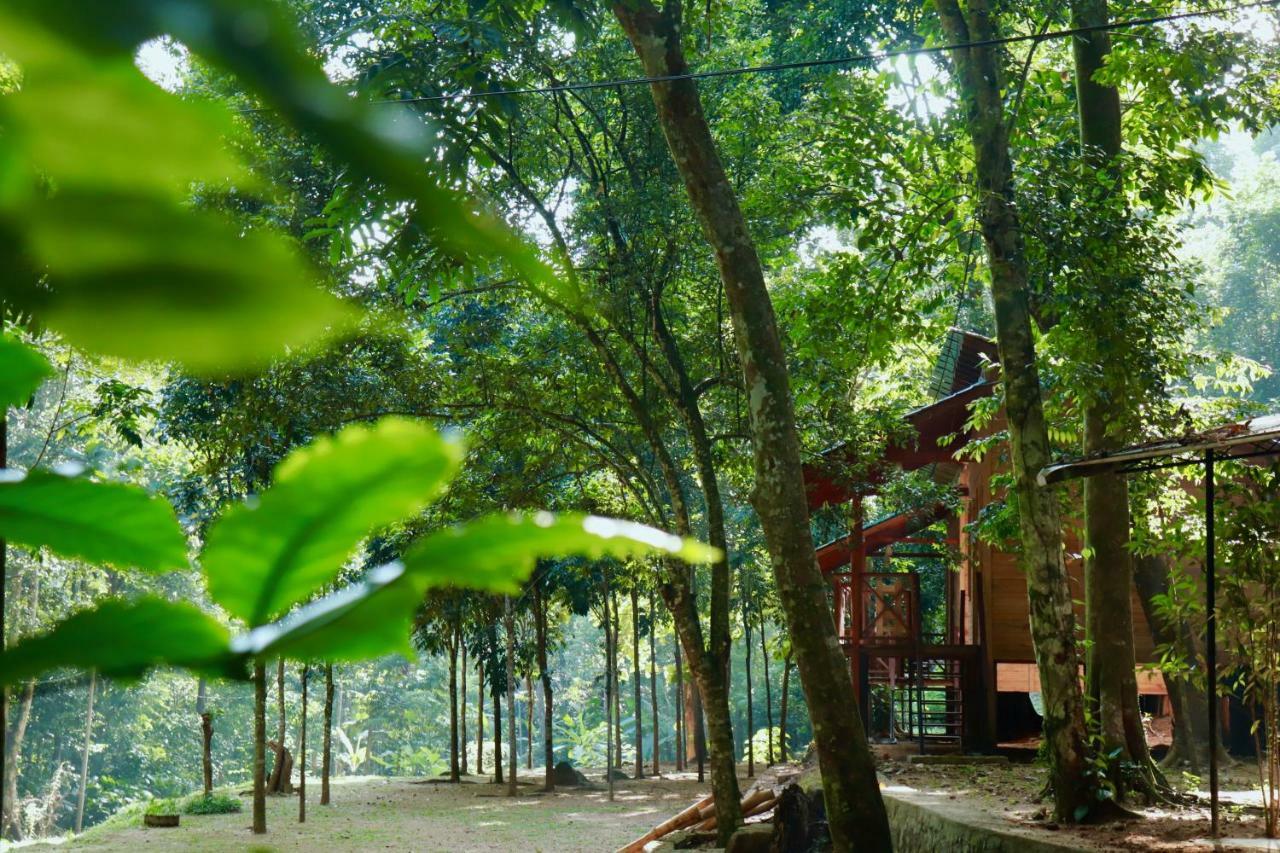 Paradise Eco Garden Китулгала Екстериор снимка