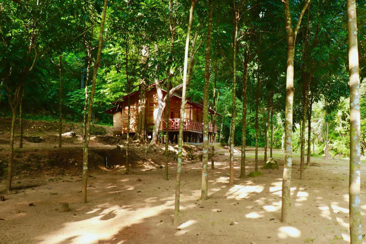 Paradise Eco Garden Китулгала Екстериор снимка