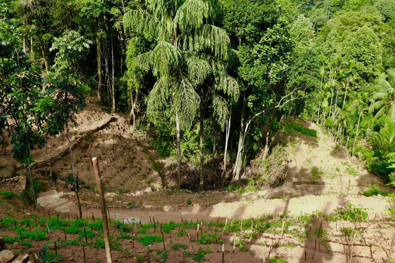 Paradise Eco Garden Китулгала Екстериор снимка