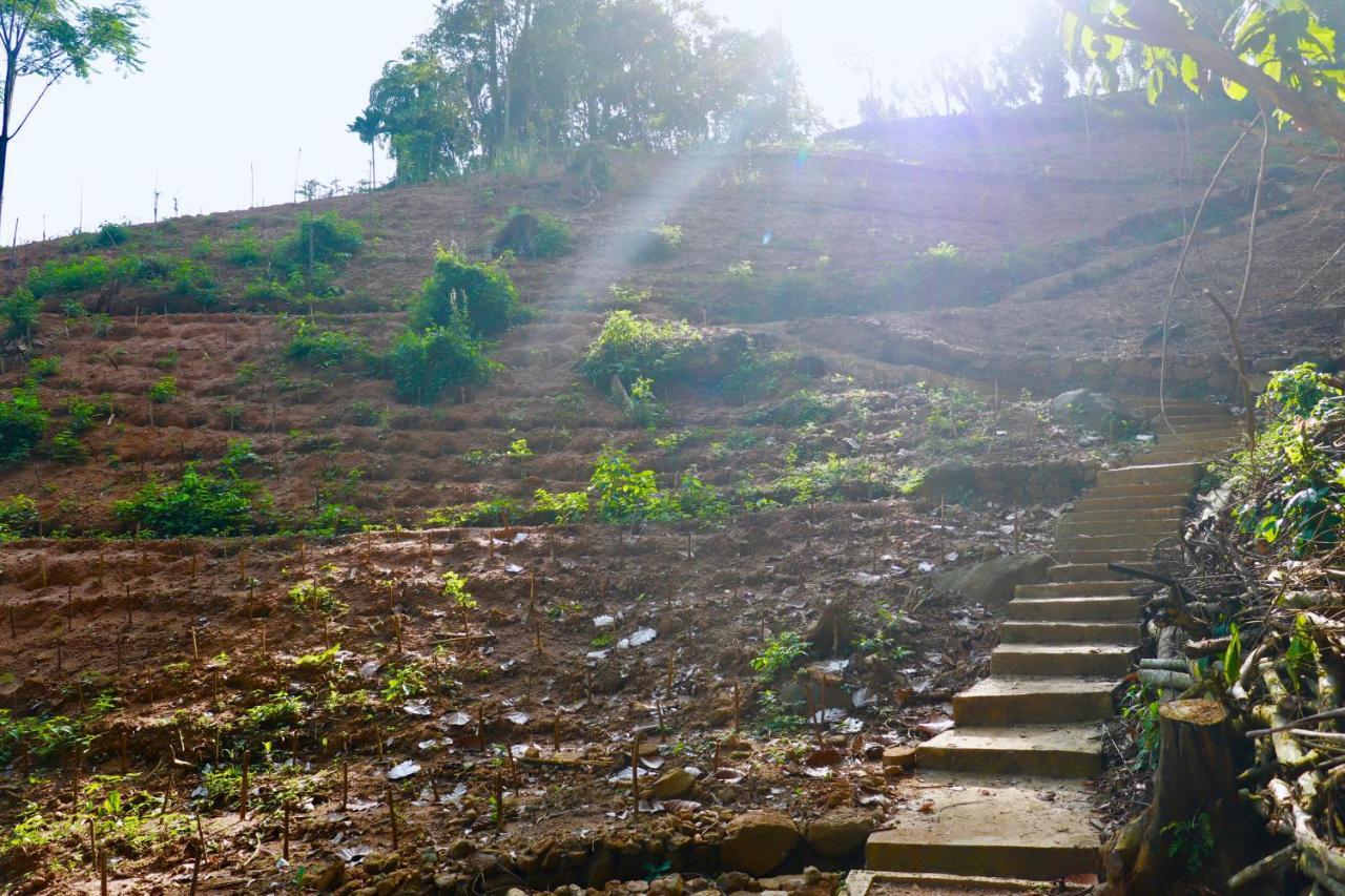 Paradise Eco Garden Китулгала Екстериор снимка